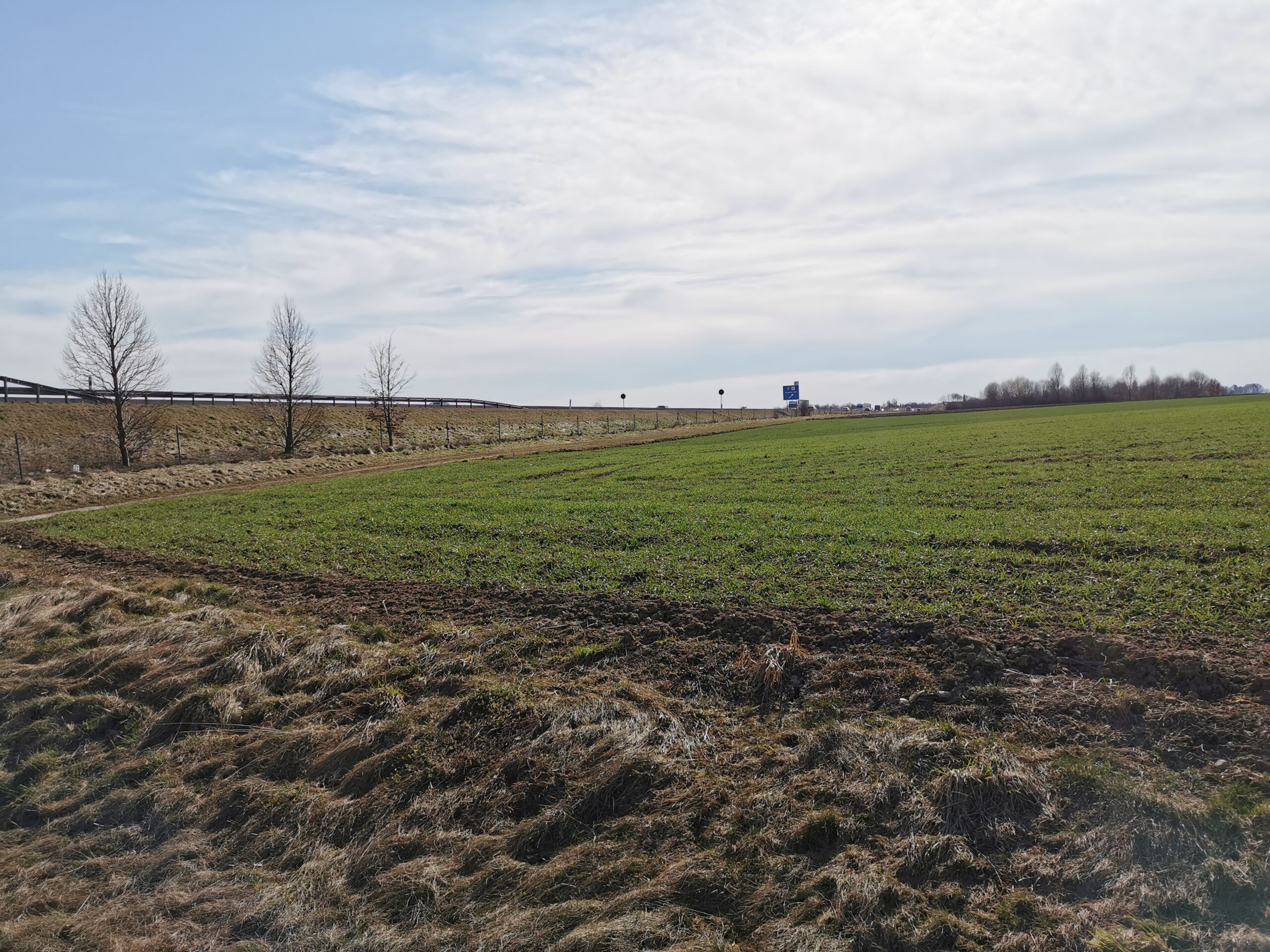 FP 5_12 Blick W