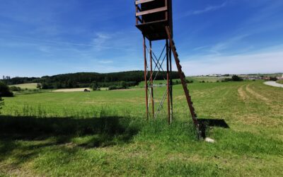 Solarpark Oberschönegg-Dietershofen