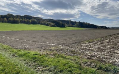 Solarpark Babenhausen-Klosterbeuren