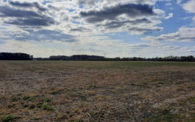 Ausschreibungszuschläge für Windparks in NRW