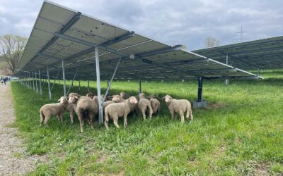 Solarparkbesichtgung Illertissen-Tiefenbach im Rahmen der Klimawoche
