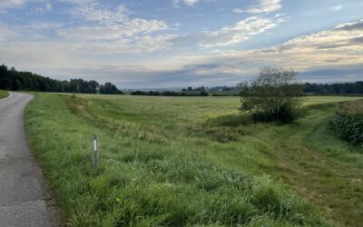 Solarpark Kettershausen-Tafertshofen