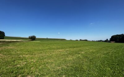 Solarpark Breitenbrunn-Bedernau