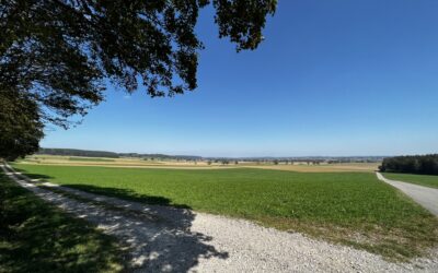 Solarpark Breitenbrunn-Loppenhausen