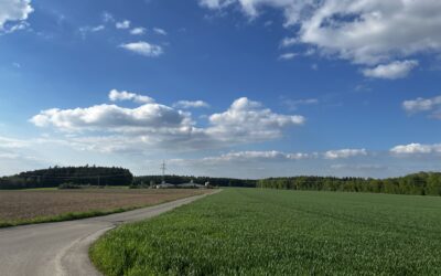 Solarpark Biberach-Ringschnait