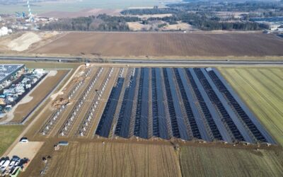 Erfolgreiche Gebote bei der Ausschreibung für PV-Freiflächenanlagen