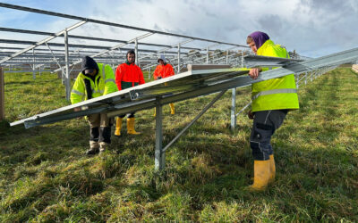 Neuer Solarpark in Balzhausen geht ans Netz