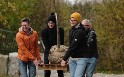 Baumpflanzchallenge accepted